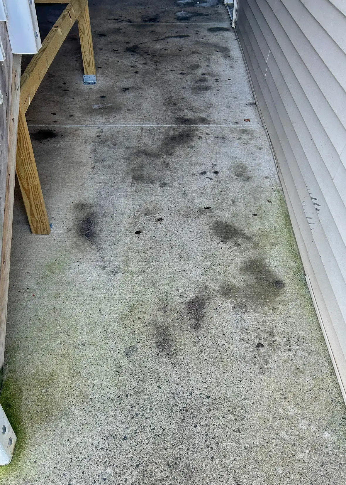 Concrete surface showing oil staining and organic buildup prior to professional degreasing and cleaning service.